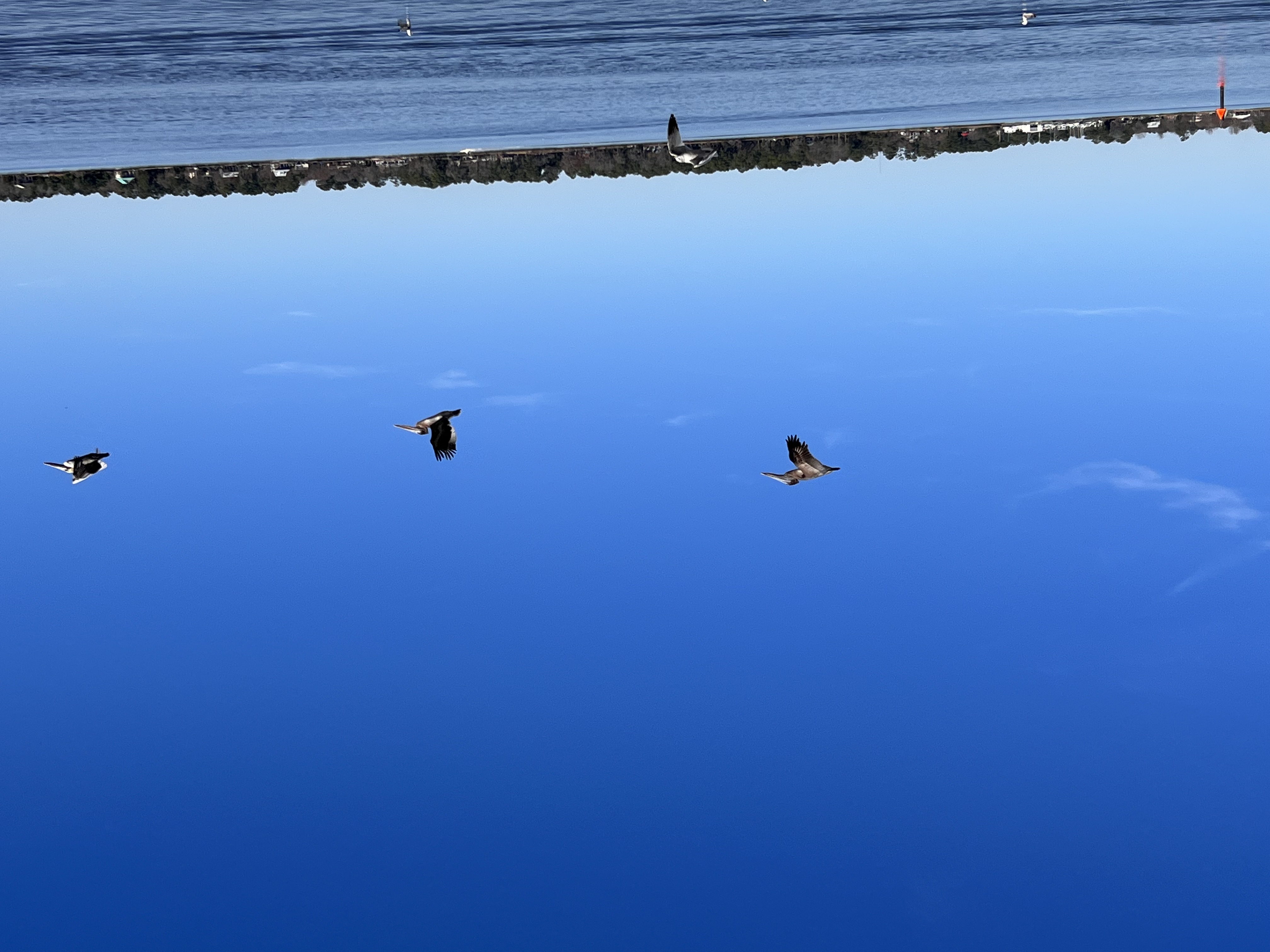 ./2023/01 - New Bern/IMG_6255.JPG